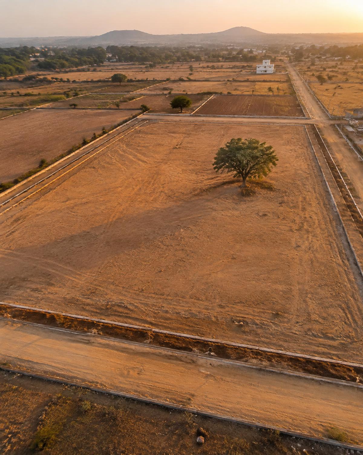 Aerial view of open development land plots at evening light